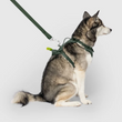 Load image into Gallery viewer, CAN POOCH EVERY HARNESS W/DISP GRN XLG