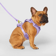 Load image into Gallery viewer, CAN POOCH EVERY HARNESS W/DISP LAV XL