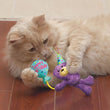 Load image into Gallery viewer, KONG CAT OCCASIONS BDAY TEDDY