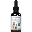 Charger l'image dans la galerie, PET WELLBEING RACINE DE PISSENLIT 2OZ