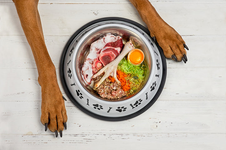 WHY DOES THE AMERICAN VETERINARY MEDICAL ASSOCIATION PROPOSE THE VOTE AGAINST RAW FOOD?