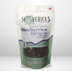 MAVERICKS FD WHOLE BLUEBERRIES 42G