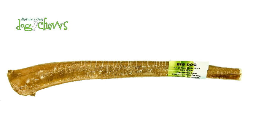 NATURE'S OWN BIG DOG BULLY STICK 12"