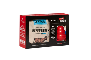 VE DOG FD BEEF MINI NIBS 14OZ-MED KONG