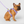 Charger l&#39;image dans la galerie, CAN POOCH EVERY HARNESS W/DISP LAV XL
