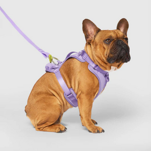 CAN POOCH EVERY HARNESS W/DISP LAV MED