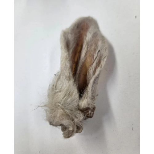 GVQPT LAMB EARS W/FUR BULK