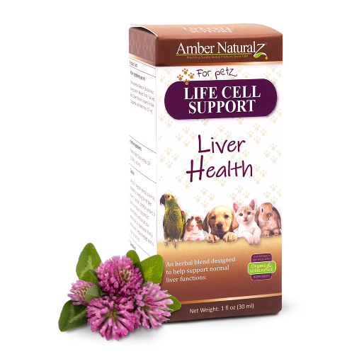 AMBER NAT LIFE CELL SUPPORT 1OZ