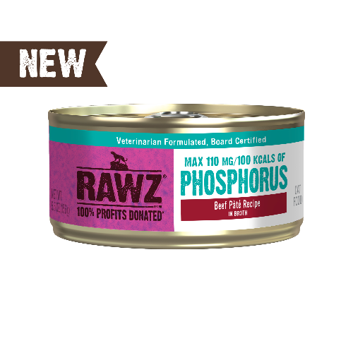 RAWZ PHOS BEEF PATE CAT CAN 5.5OZ