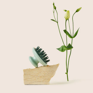 DANDYLION SCRUB BRUSH