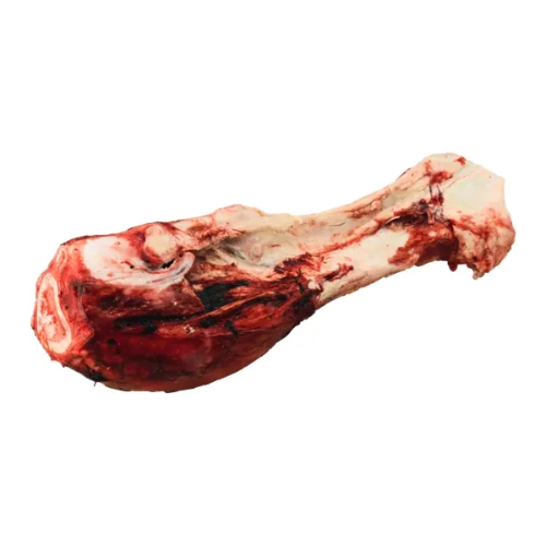 K9 CHOICE BEEF DINO BONE