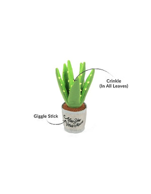 PLAY BLOOMING ALOE-VE YOU PLANT