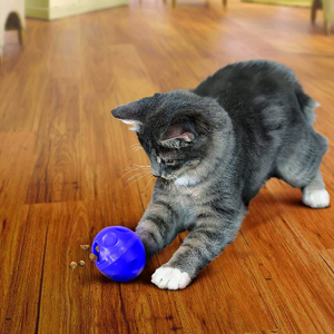 KONG ACTIVE CAT TREAT BALL