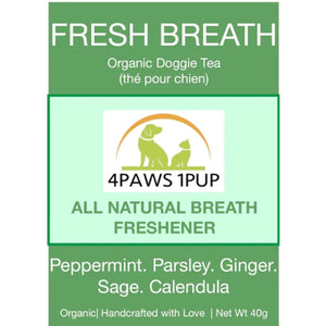 4PAWS1PUP FRESH BREATH ORG TEA DOG 40G