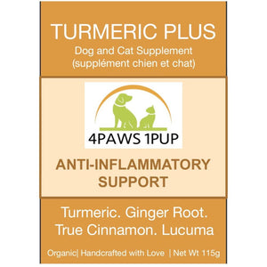 4PAWS1PUP TURMERIC PLUS 145G