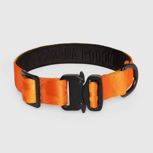 CAN POOCH COLLIER UTILITAIRE ORANGE LG