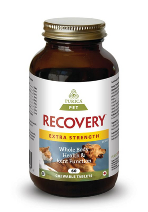PURICA RECOVERY SA EXT STRENGTH 60CHEW