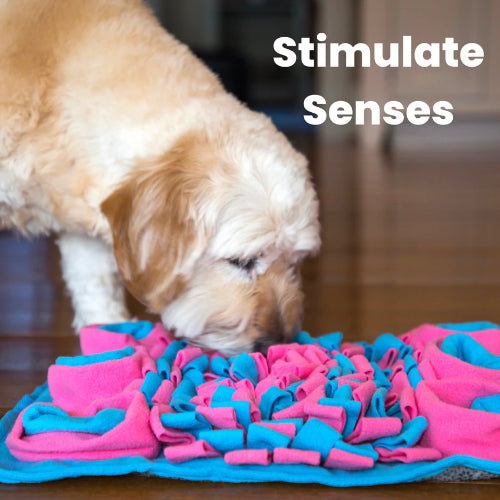 INJOYA BUBBLE GUM SNUFFLE MAT – Tail Blazers Barrie