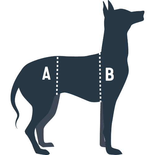 Carelift harness clearance