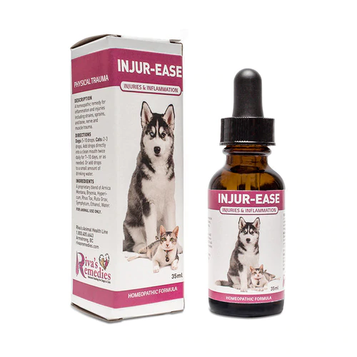 Homeopathic ear deals drops for dogs
