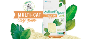SUSTAINABLY YOURS CAT LITTER LG GRN 13LB